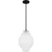 Quoizel QPP6186MBK Driscoll One Light Pendant, Matte Black Alternate Image.jpg