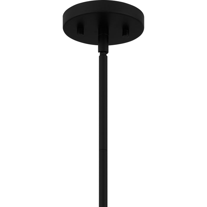 Quoizel QPP6186MBK Driscoll One Light Pendant, Matte Black Alternate Image.jpg