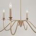 Capital Lighting AA1029MA Six Light Chandelier, Matte Brass (3)