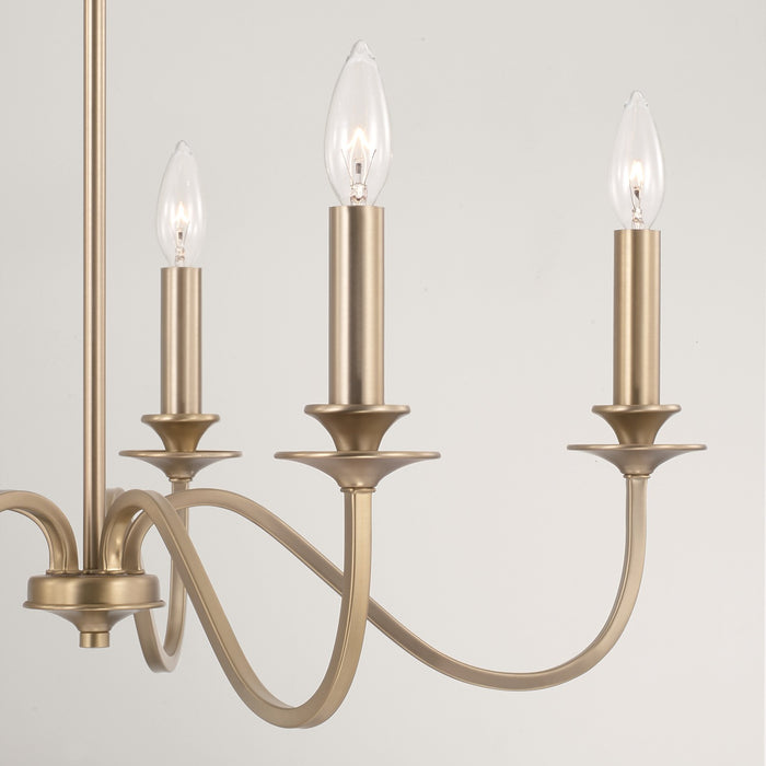 Capital Lighting AA1023MA Five Light Chandelier, Matte Brass (3)