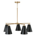 Capital Lighting AA1040RK Five Light Chandelier, Matte Brass and Black (2)