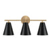 Capital Lighting AA1039RK Three Light Vanity, Matte Brass and Black (2)