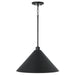 Capital Lighting 351311MB Alden One Light Pendant, Matte Black Alternate Image.jpg