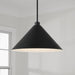 Capital Lighting 351311MB Alden One Light Pendant, Matte Black Alternate Image 3.jpg