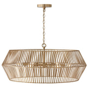 Capital Lighting 430361MA Kaiya Six Light Chandelier, Matte Brass Alternate Image.jpg