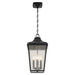 Kichler 49740BKT Four Light Outdoor Pendant, Textured Black (5)