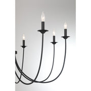Savoy House 1-1202-8-89 Eight Light Chandelier, Matte Black (6)