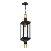 Savoy House 5-277-144 One Light Outdoor Hanging Lantern, Matte Black/Weathered Brushed Brass (5)