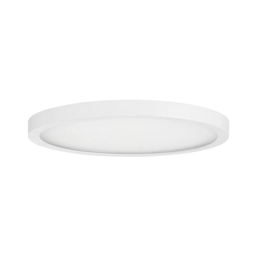 Savoy House 6-3333-12-WH LED Flush Mount, White (2)