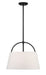 Minka Lavery 5395-66A Headington Three Light Island Pendant, Coal Alternate Image 2.jpg