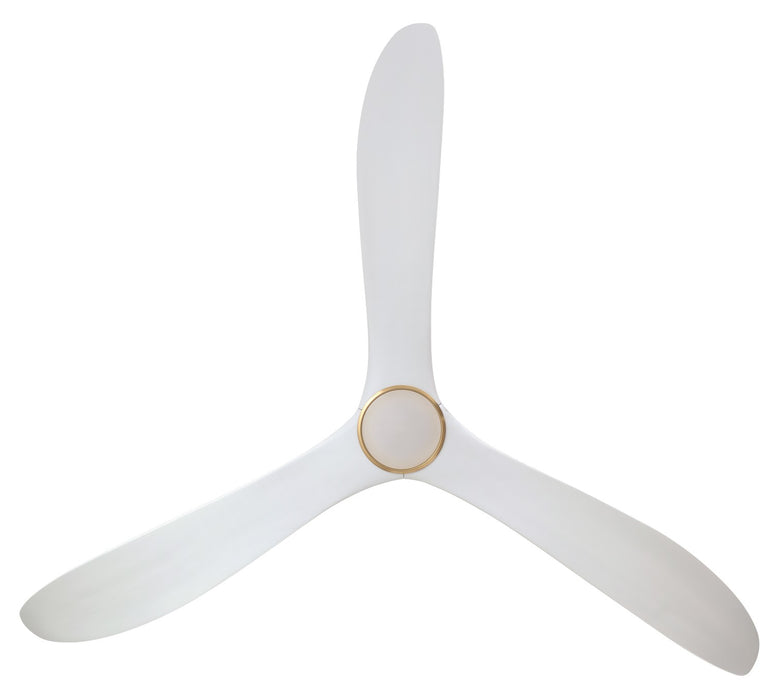 Alternate Image 3.jpg