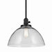 Kichler 43912BK One Light Pendant, Black (2)