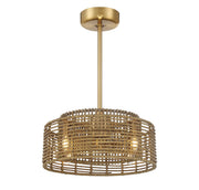 Savoy House 20-FD-155-322 LED Fan D'Lier, Warm Brass (3)