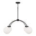 Capital Lighting 457141BI-557 Four Light Chandelier, Black Iron (2)