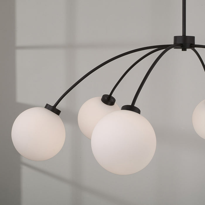 Capital Lighting 457161BI-557 Six Light Chandelier, Black Iron (4)