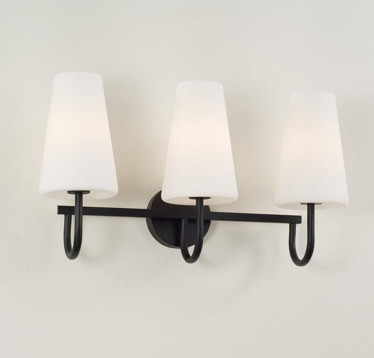 Capital Lighting 155231MB-550 Three Light Vanity, Matte Black (4)