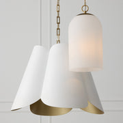 Capital Lighting 355811MA-553 One Light Pendant, Matte Brass (5)