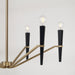 Capital Lighting 453861AB Six Light Chandelier, Aged Brass and Black (4)