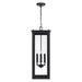 Capital Lighting 934644BK Four Light Outdoor Hanging Lantern, Black (2)