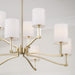Capital Lighting 457091MA-715 Nine Light Chandelier, Matte Brass (5)