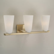Capital Lighting 156931MA-556 Three Light Vanity, Matte Brass (4)