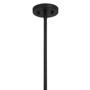 Savoy House 7-2911-5-50 Five Light Pendant, Black Cashmere (5)