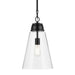 Kichler 52661BKCLR One Light Pendant, Black (5)