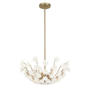 Savoy House 1-2500-4-127 Four Light Chandelier, Noble Brass (3)