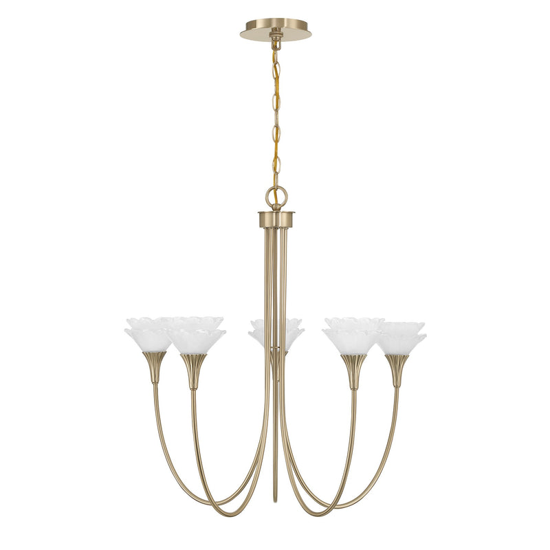 Savoy House 1-5082-5-127 Five Light Chandelier, Noble Brass (2)