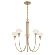 Savoy House 1-5082-5-127 Five Light Chandelier, Noble Brass (3)