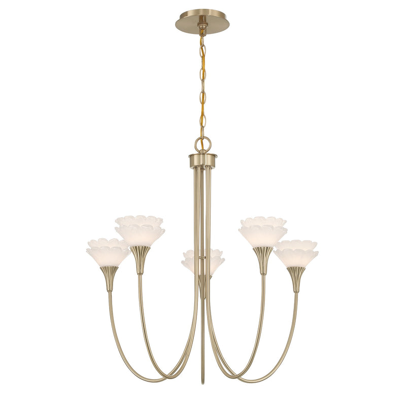 Savoy House 1-5082-5-127 Five Light Chandelier, Noble Brass (3)