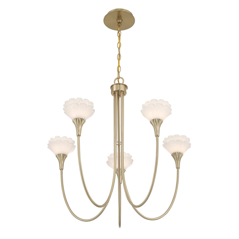Savoy House 1-5082-5-127 Five Light Chandelier, Noble Brass (4)
