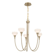 Savoy House 1-5082-5-127 Five Light Chandelier, Noble Brass (5)