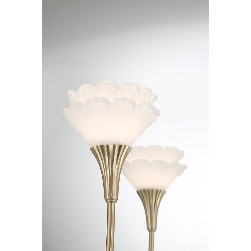 Savoy House 1-5082-5-127 Five Light Chandelier, Noble Brass (6)