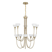 Savoy House 1-5083-10-127 Ten Light Chandelier, Noble Brass (2)