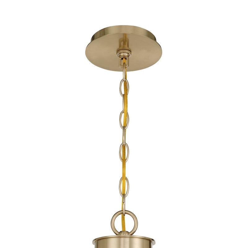 Savoy House 1-5083-10-127 Ten Light Chandelier, Noble Brass (6)