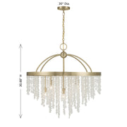 Savoy House 1-6451-8-127 Eight Light Chandelier, Noble Brass (6)