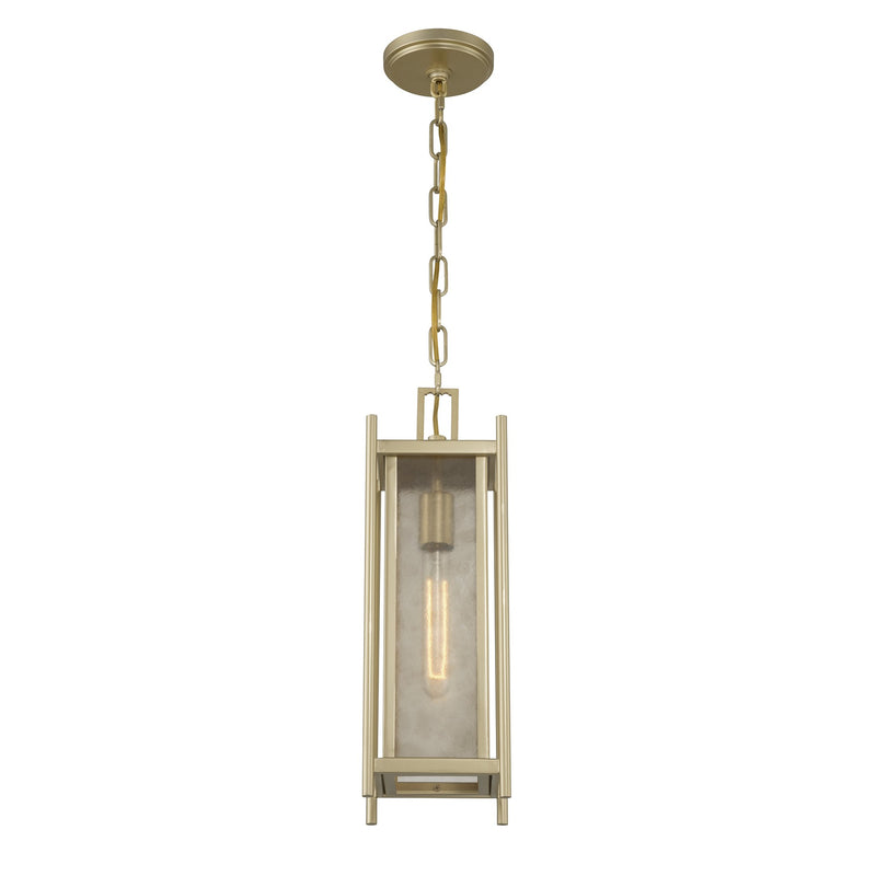 Savoy House 5-3806-344 One Light Outdoor Hanging Lantern, Serene Brass (5)