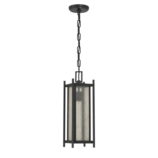 Savoy House 5-3806-BK One Light Outdoor Hanging Lantern, Matte Black (2)
