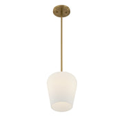 Savoy House 7-6036-1-322 One Light Pendant, Warm Brass (4)