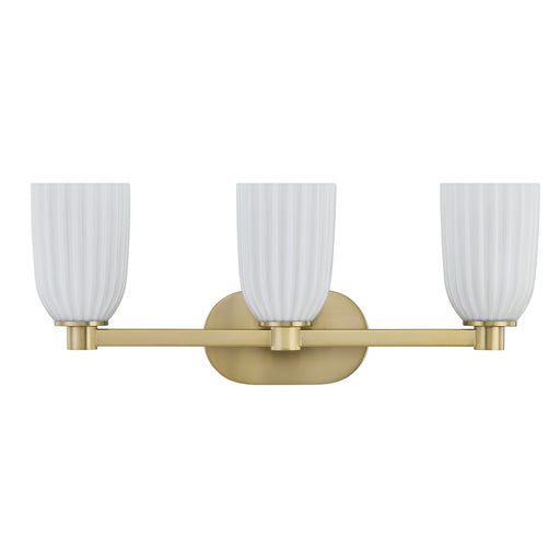 Savoy House 8-1245-3-127 Three Light Bathroom Vanity, Noble Brass (2)