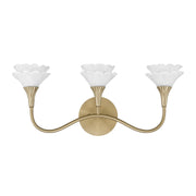 Savoy House 8-5081-3-127 Three Light Bathroom Vanity, Noble Brass (2)