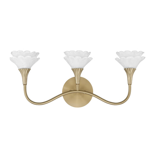 Savoy House 8-5081-3-127 Three Light Bathroom Vanity, Noble Brass (2)