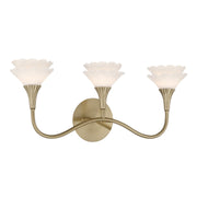 Savoy House 8-5081-3-127 Three Light Bathroom Vanity, Noble Brass (3)