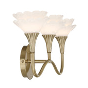 Savoy House 8-5081-3-127 Three Light Bathroom Vanity, Noble Brass (5)