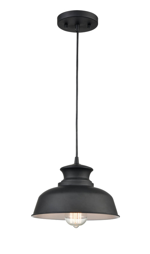 Shoppers Lighting PD2061-MB 1-Light Mini-Pendant, Matte Black Finish Main Image.jpg