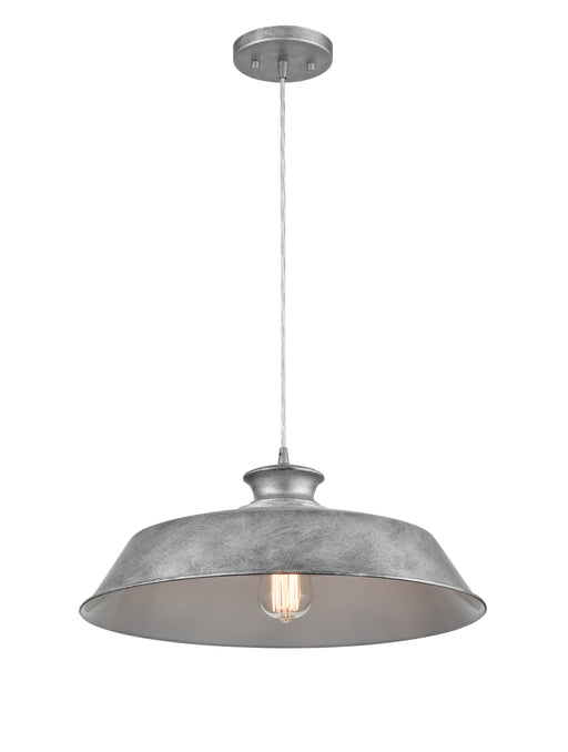Shoppers Lighting PD2071-GA 1-Light Mini-Pendant, Galvanized Finish Main Image.jpg