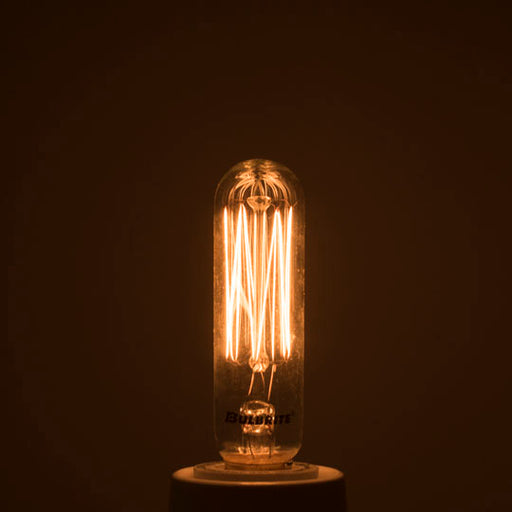 Bulbrite 132506 vintage filament bulb illuminated